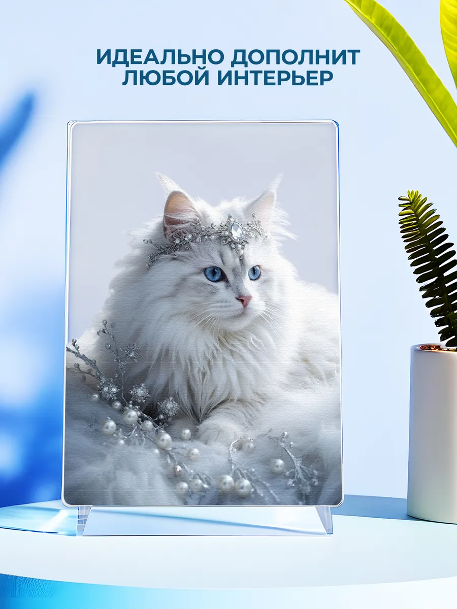 Изображение товара 4 из 4