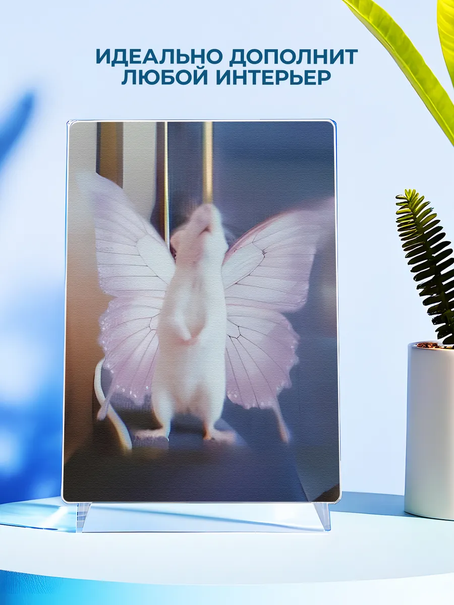 Изображение товара 4 из 4