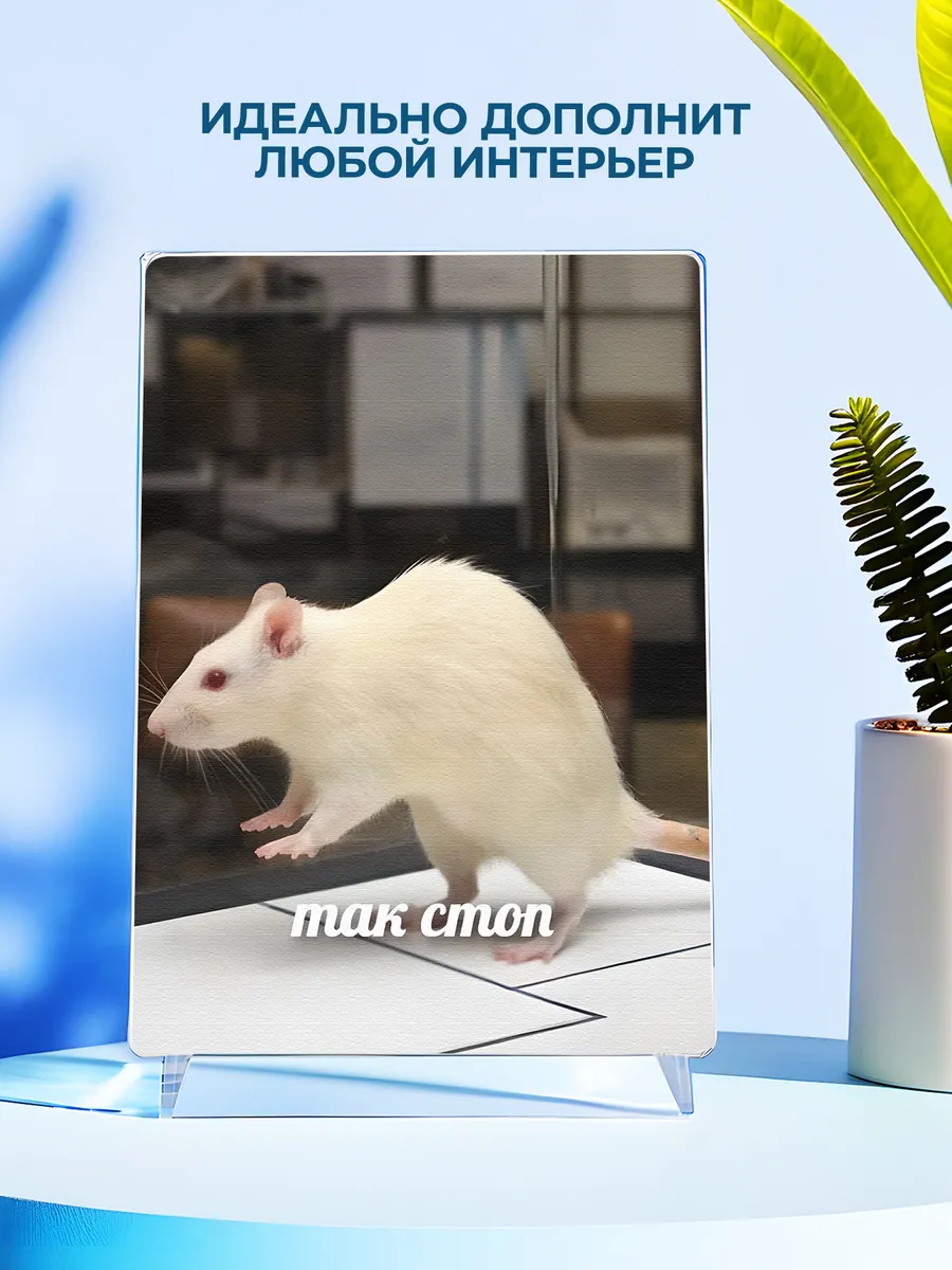 Изображение товара 4 из 4