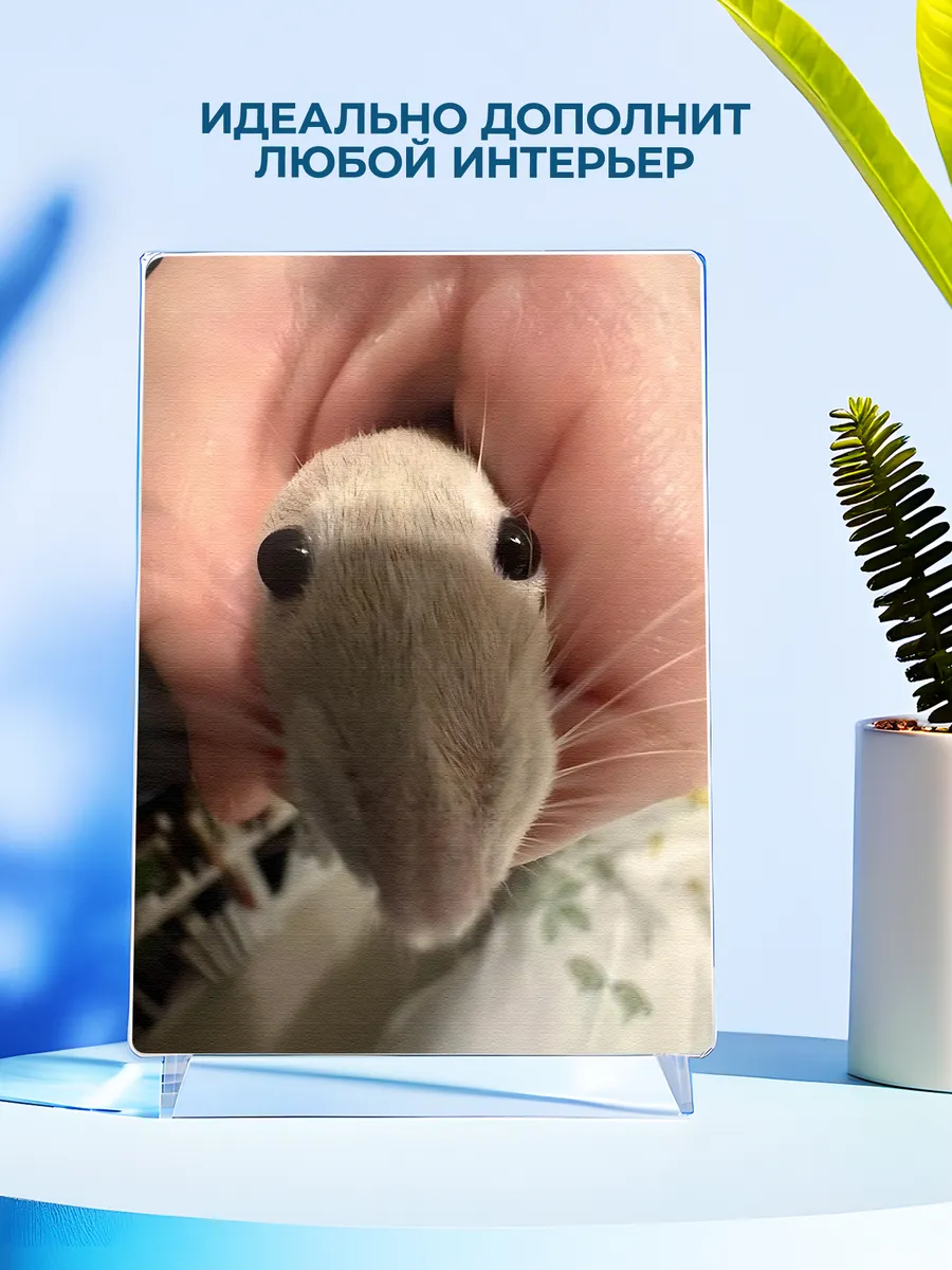 Изображение товара 4 из 4