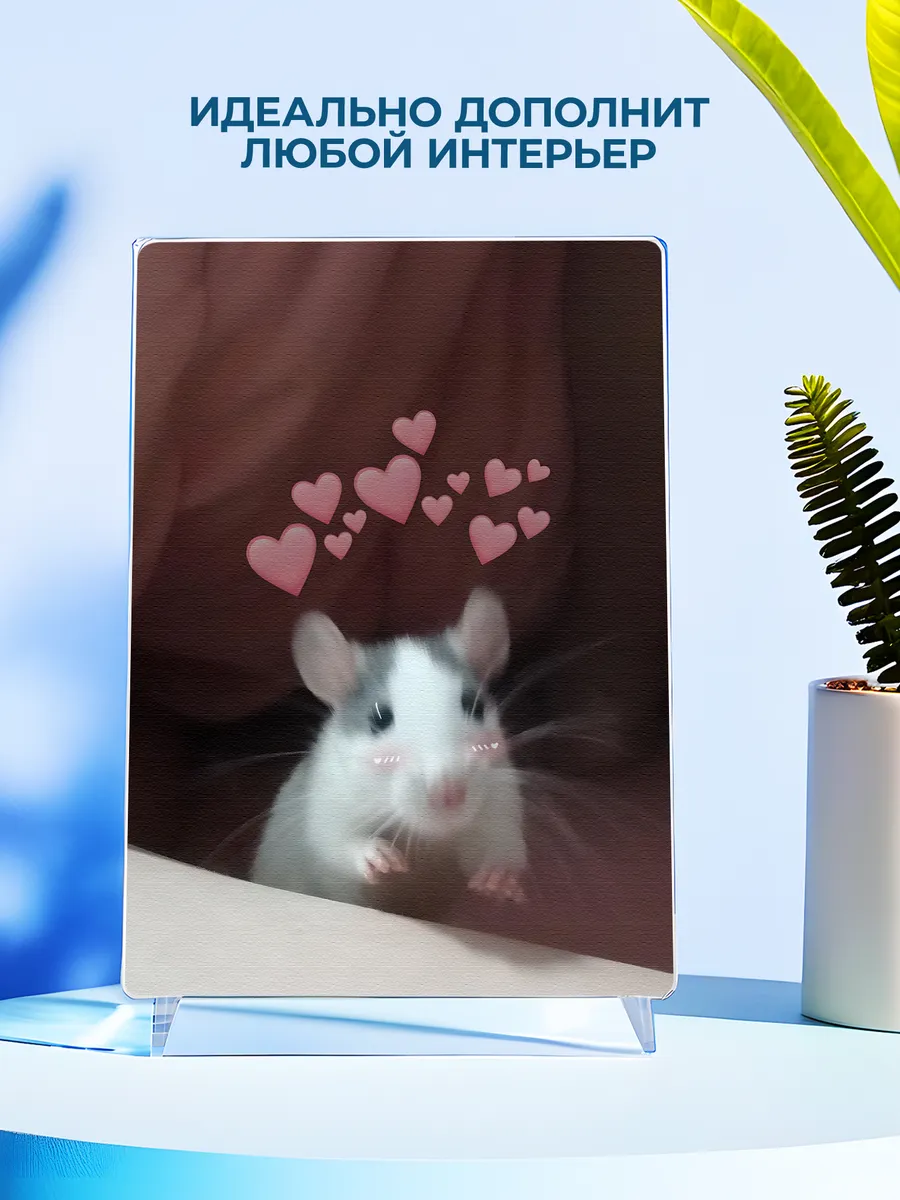 Изображение товара 4 из 4