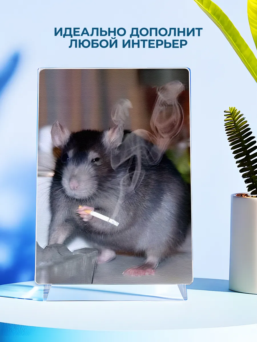 Изображение товара 4 из 4