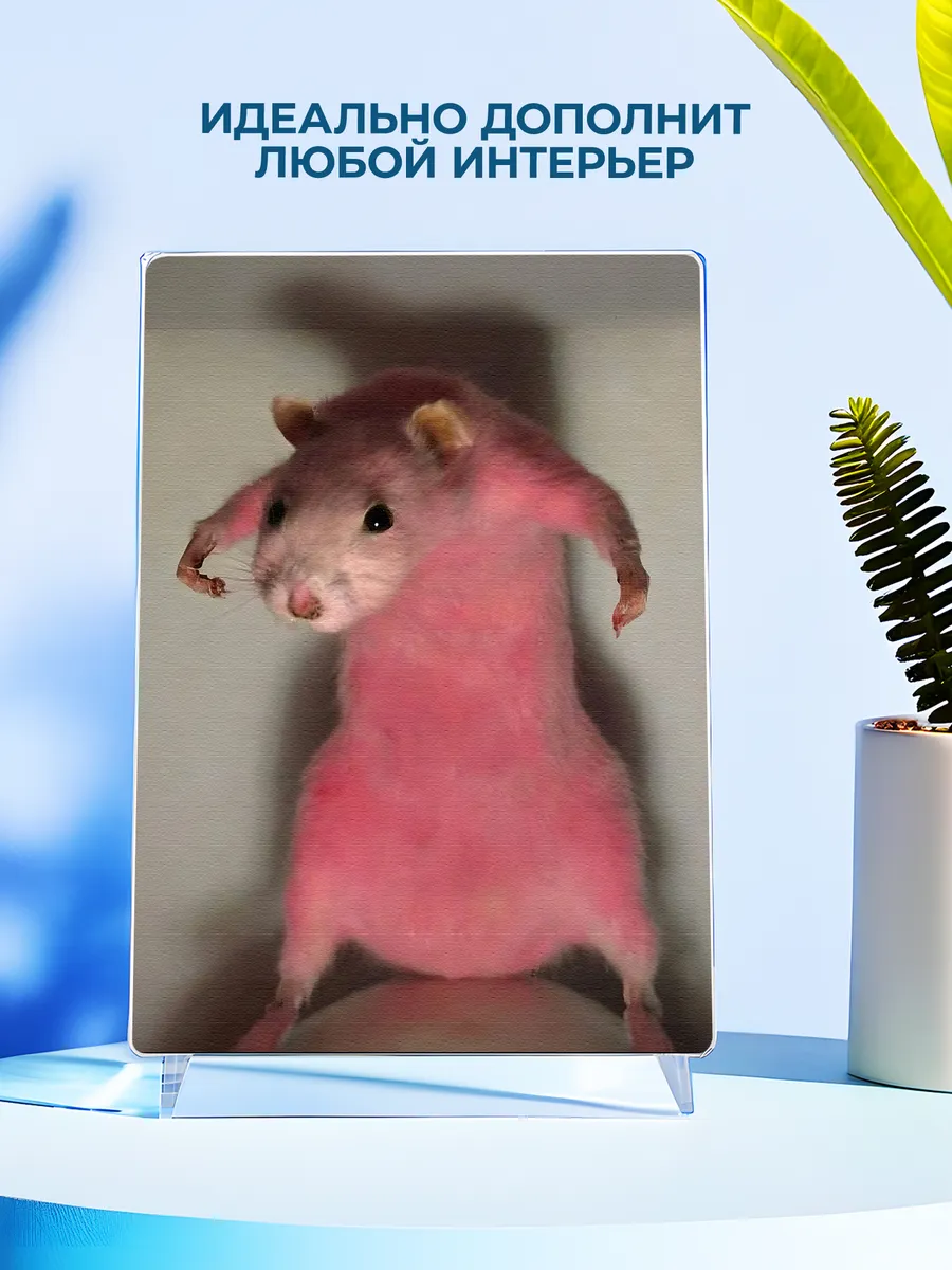 Изображение товара 4 из 4