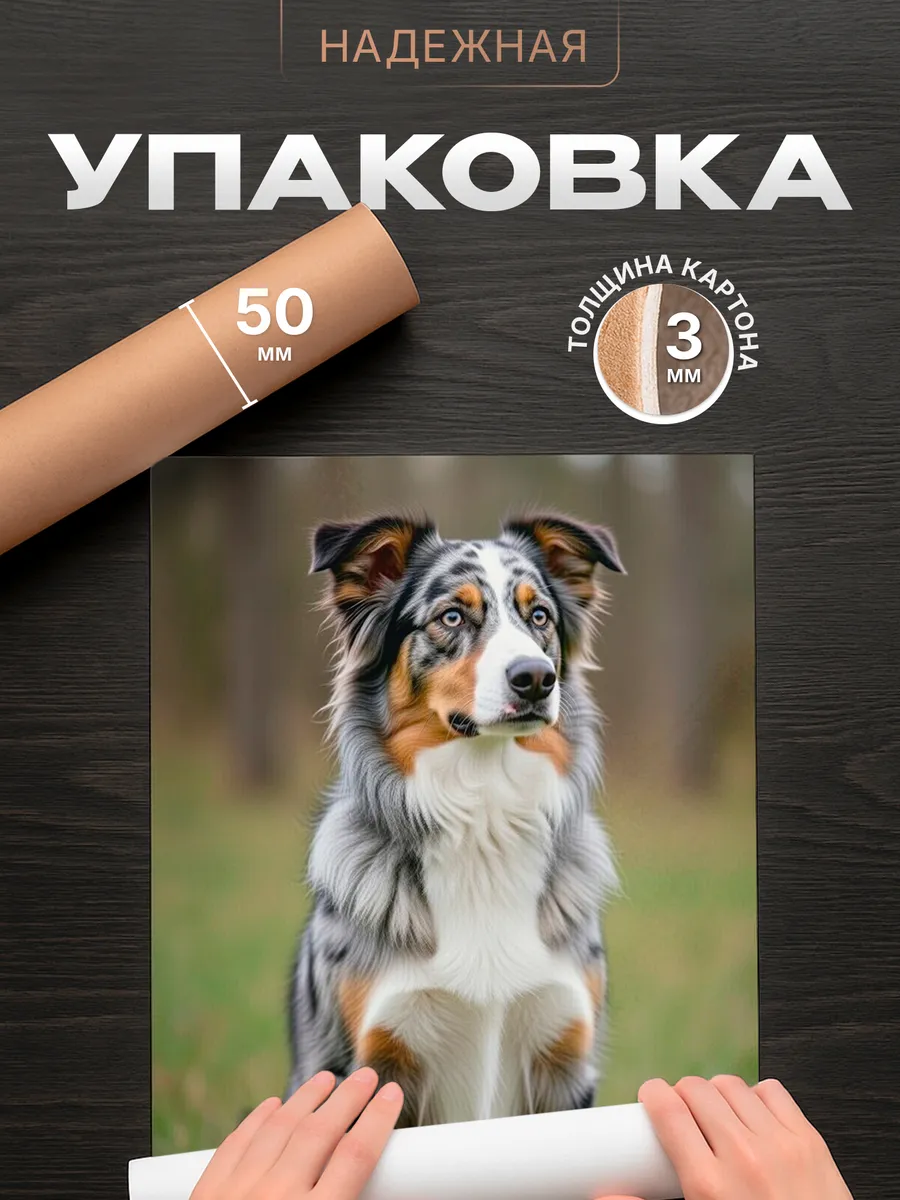 Изображение товара 4 из 4