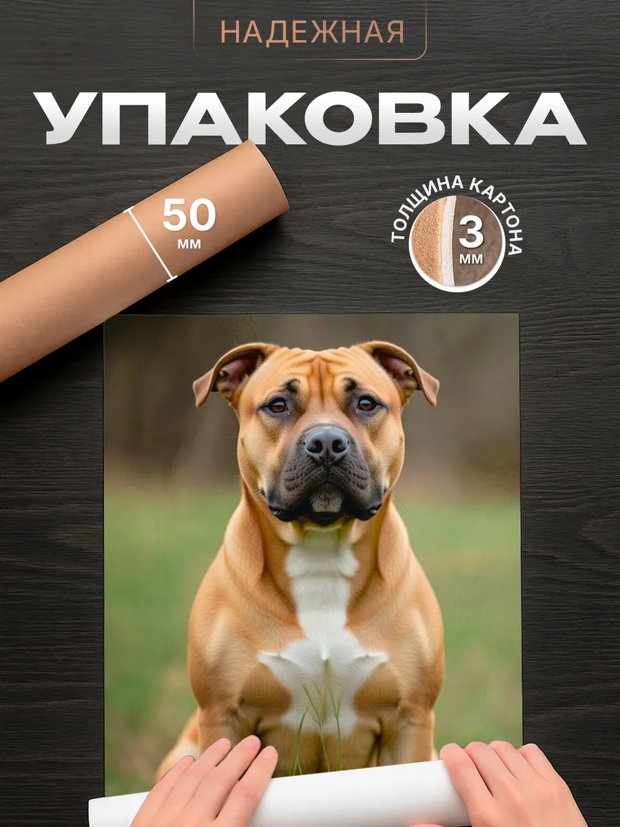 Изображение товара 4 из 4