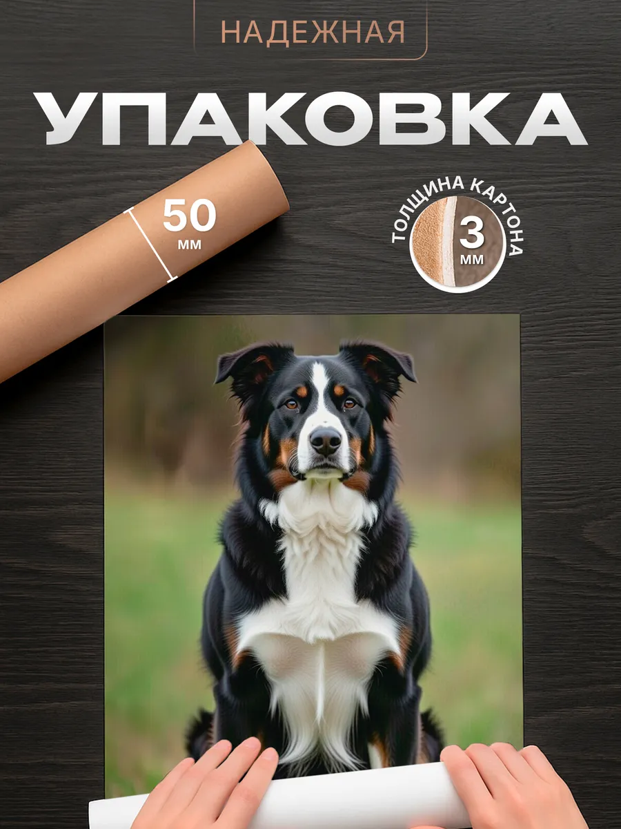 Изображение товара 4 из 4