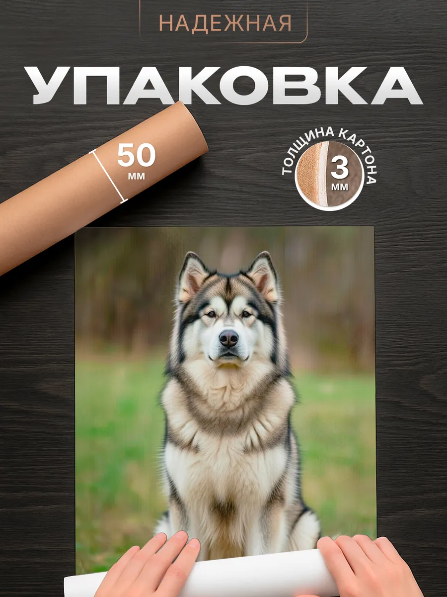 Изображение товара 4 из 4