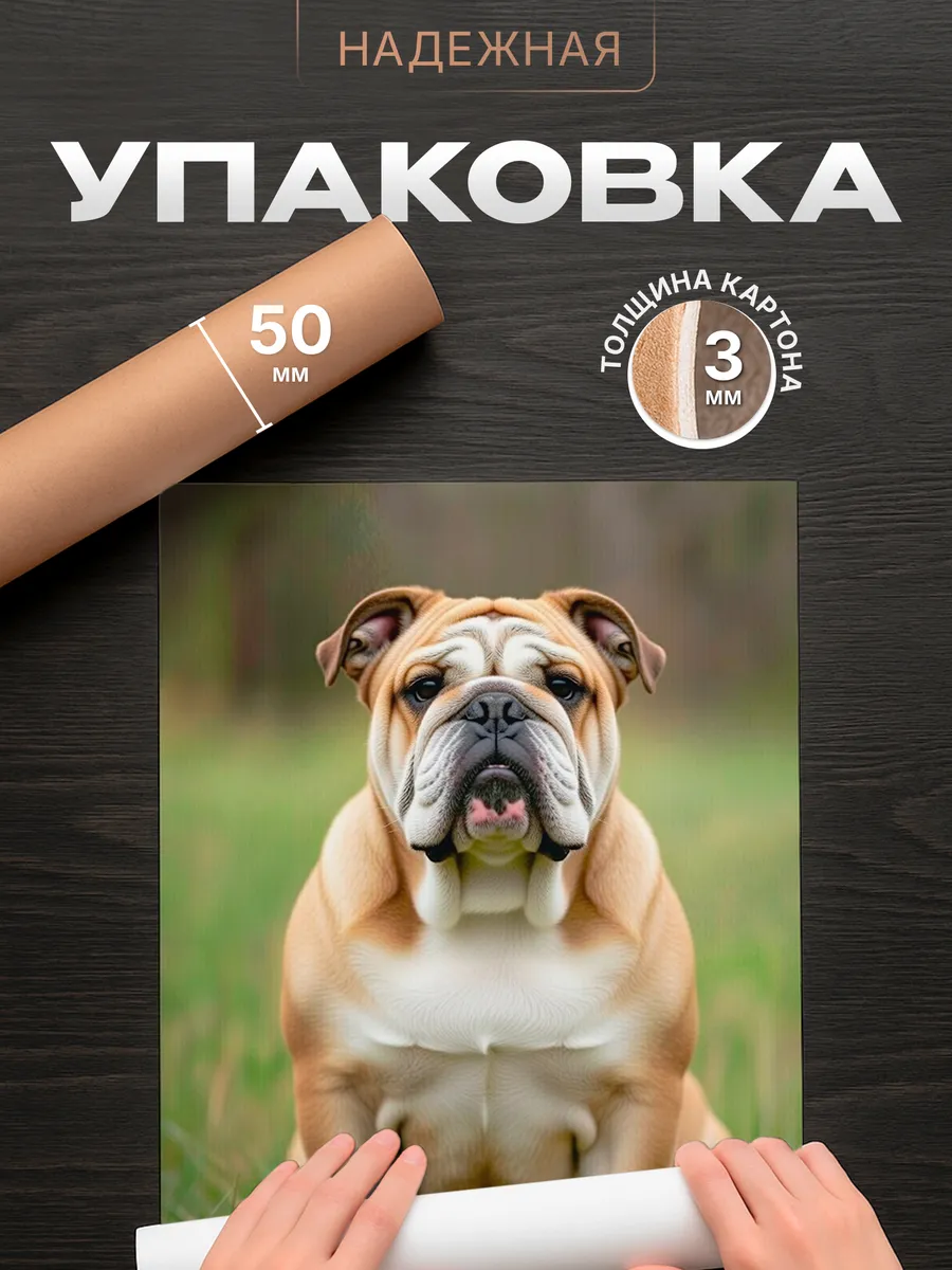 Изображение товара 4 из 4