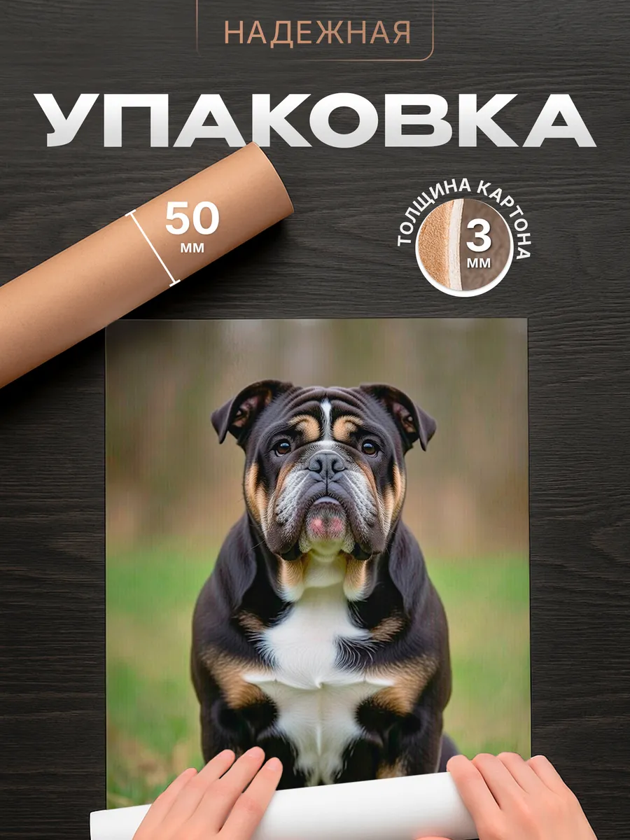 Изображение товара 4 из 4