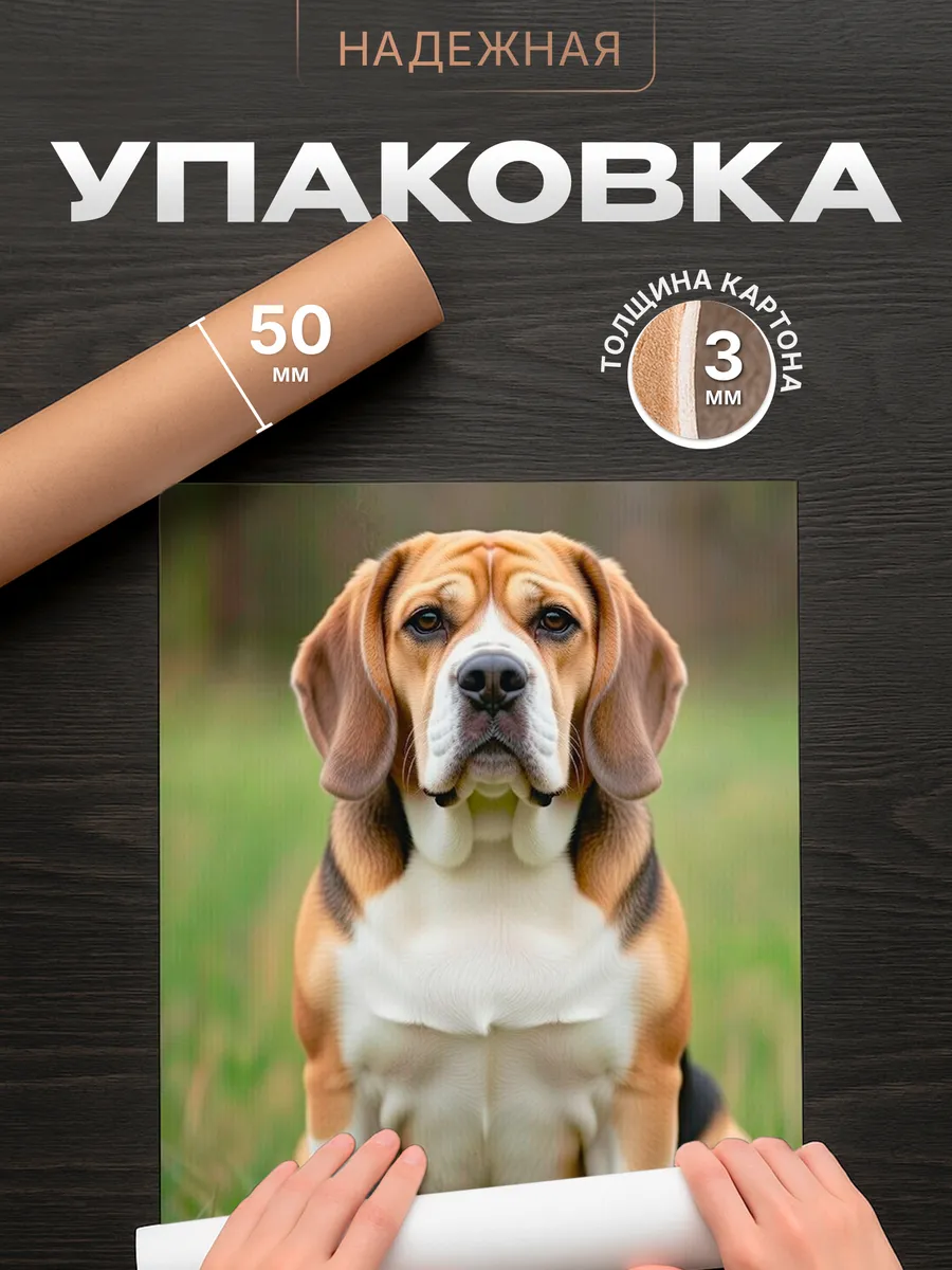 Изображение товара 4 из 4