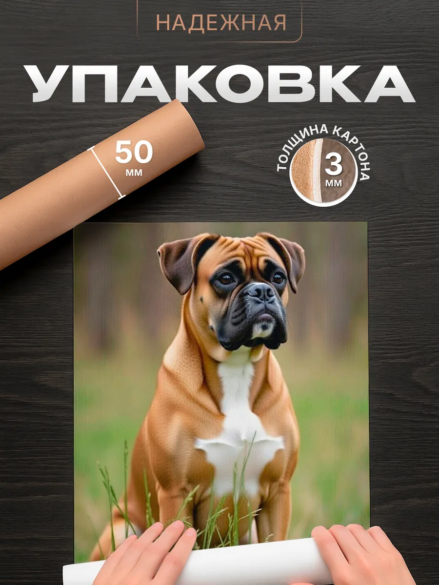 Изображение товара 4 из 4
