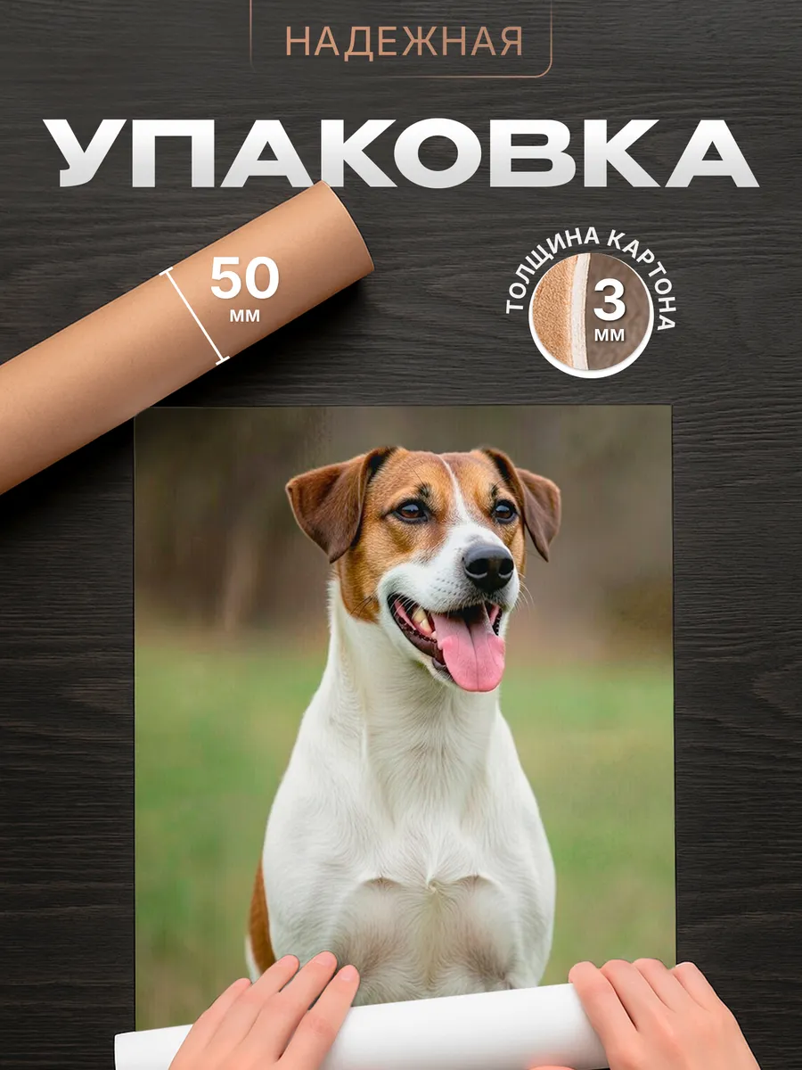 Изображение товара 4 из 4