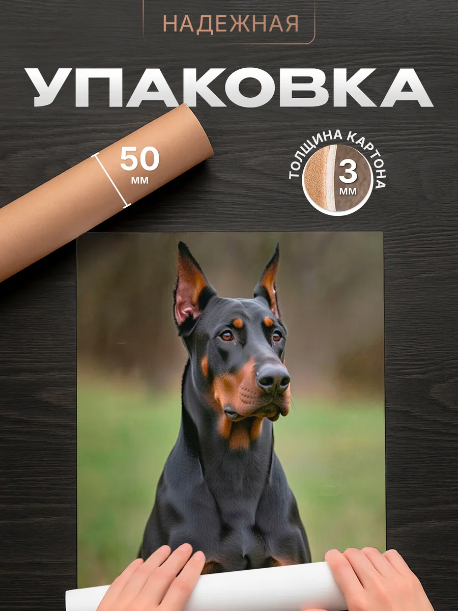 Изображение товара 4 из 4