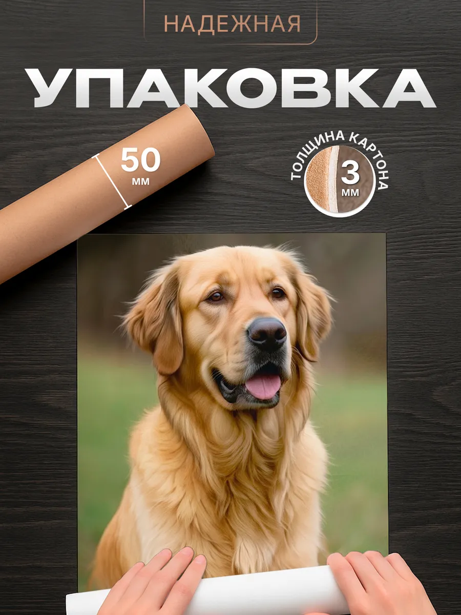 Изображение товара 4 из 4