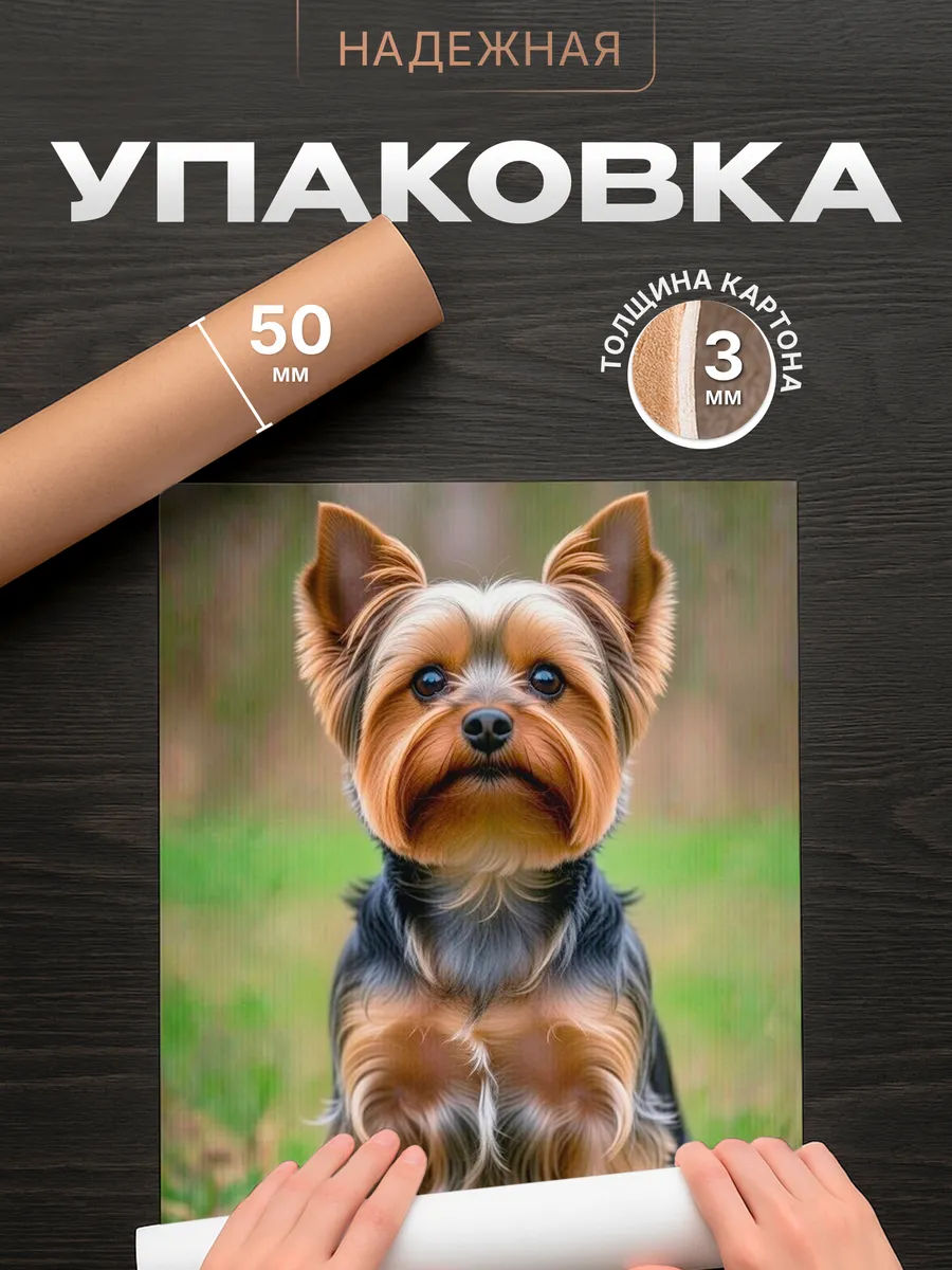Изображение товара 4 из 4