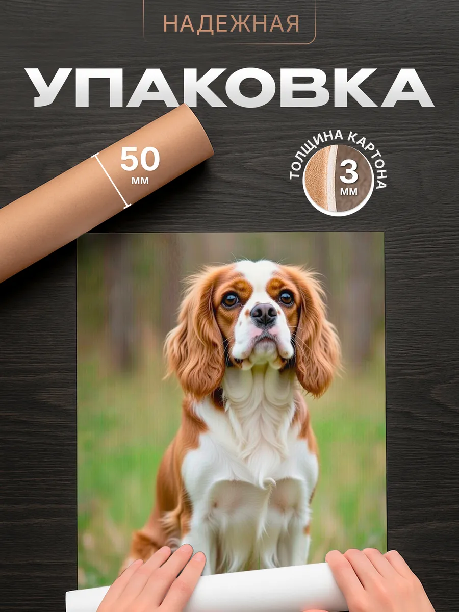 Изображение товара 4 из 4