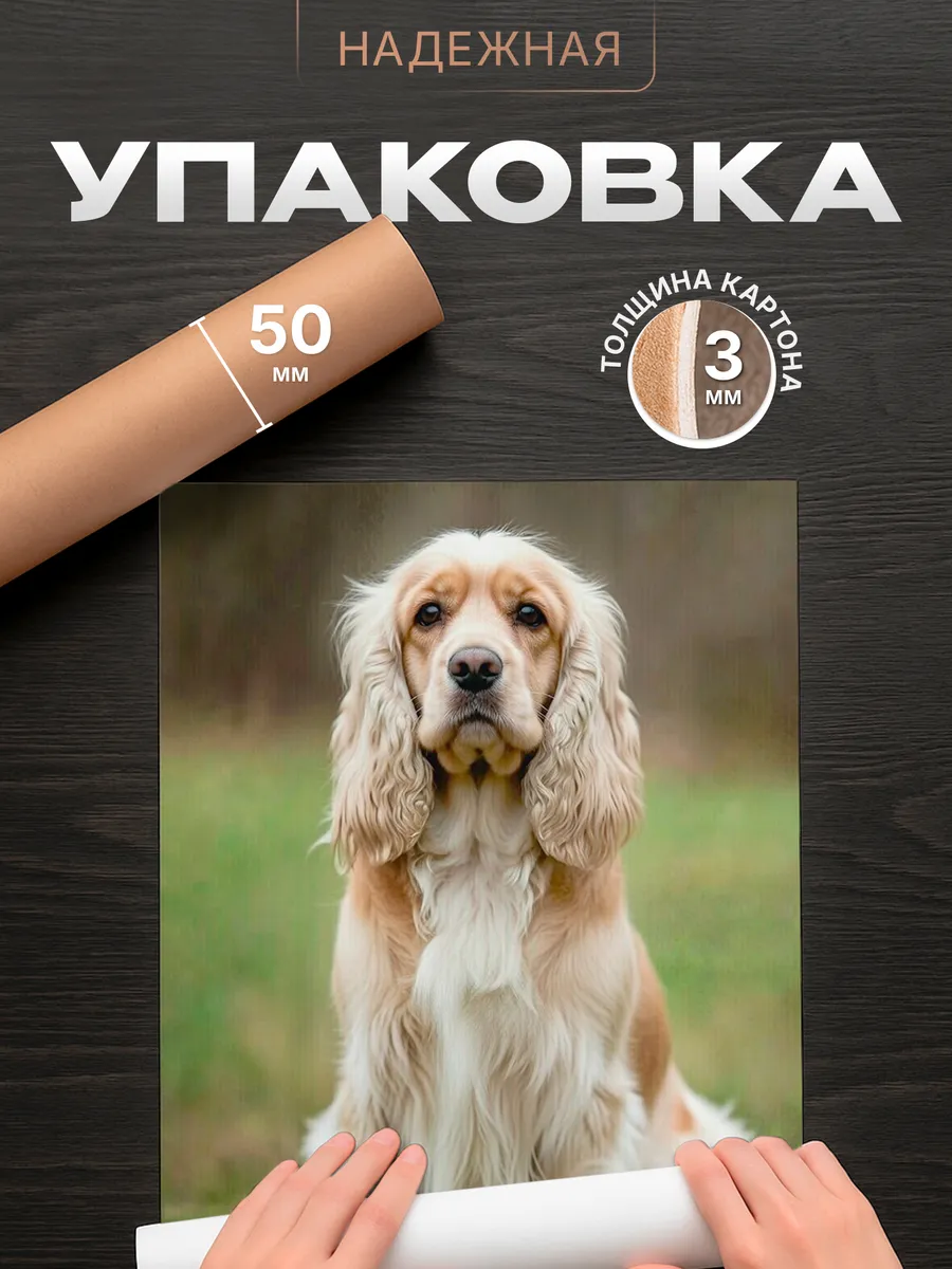 Изображение товара 4 из 4