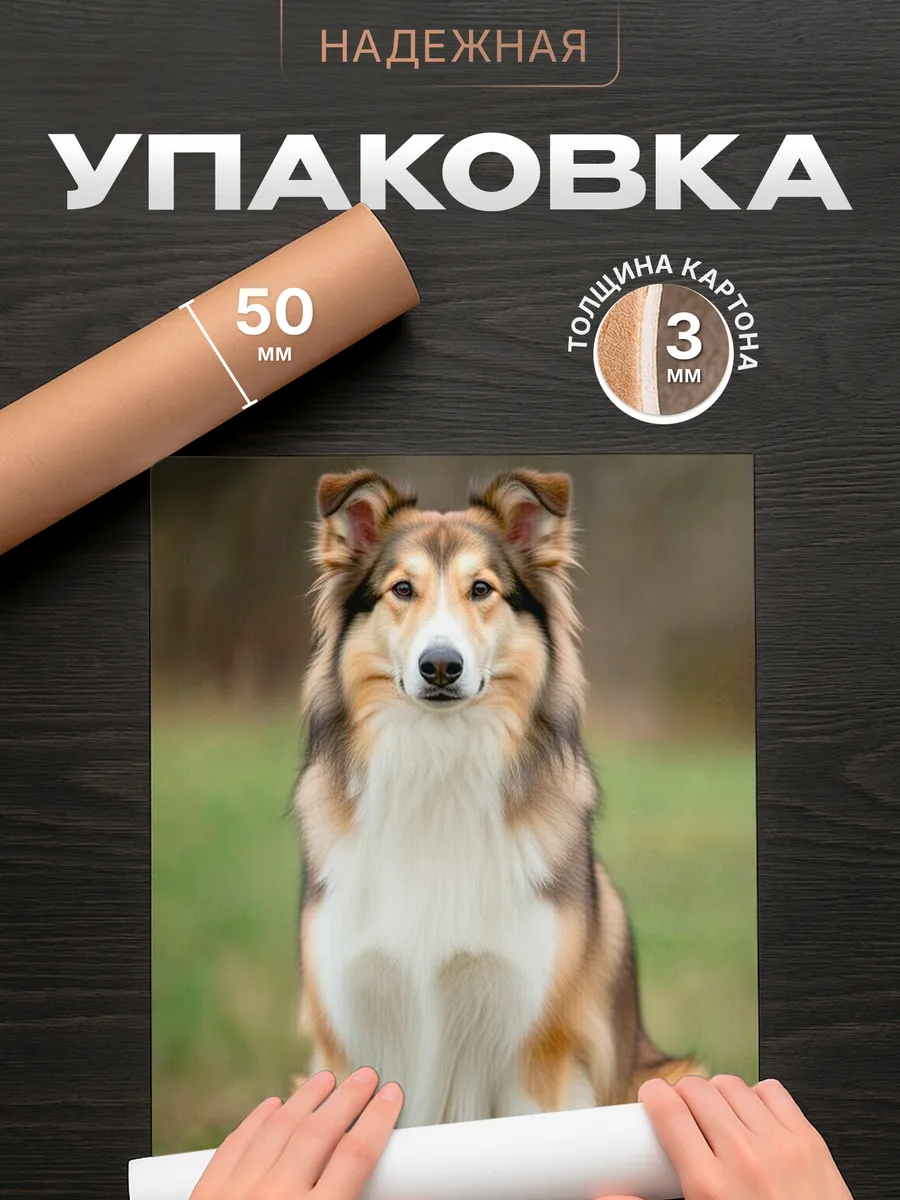Изображение товара 4 из 4