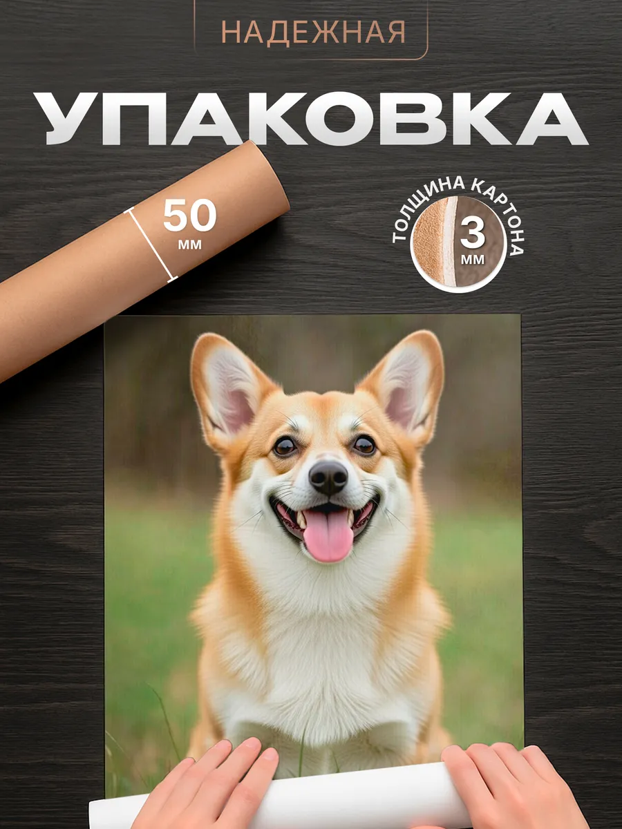 Изображение товара 4 из 4