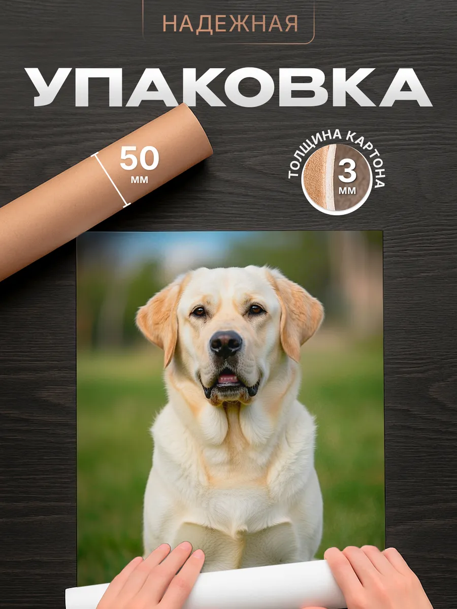 Изображение товара 4 из 4