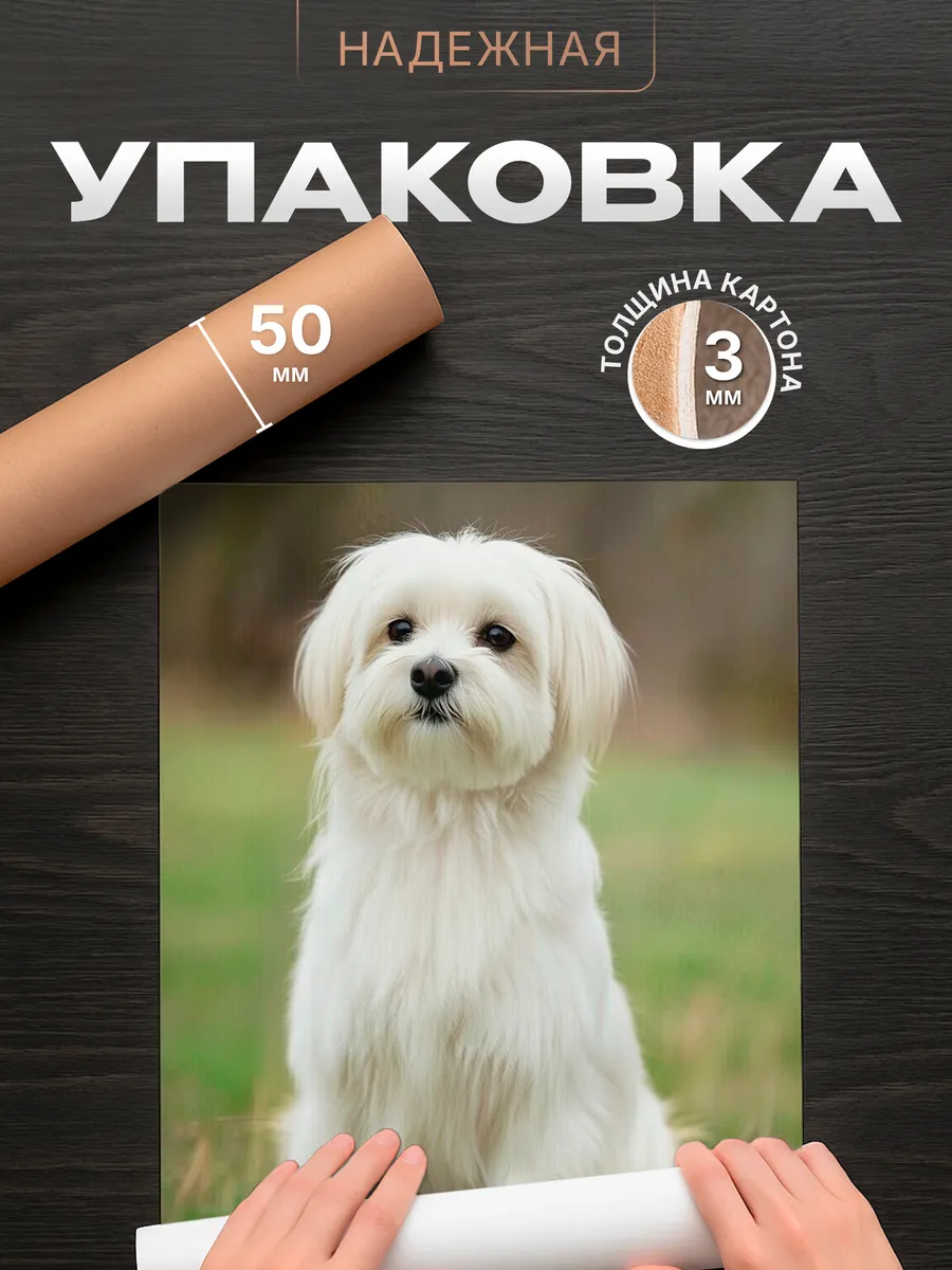 Изображение товара 4 из 4
