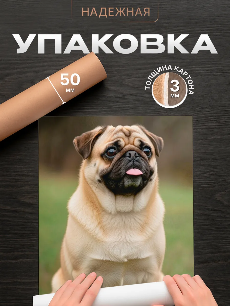 Изображение товара 4 из 4