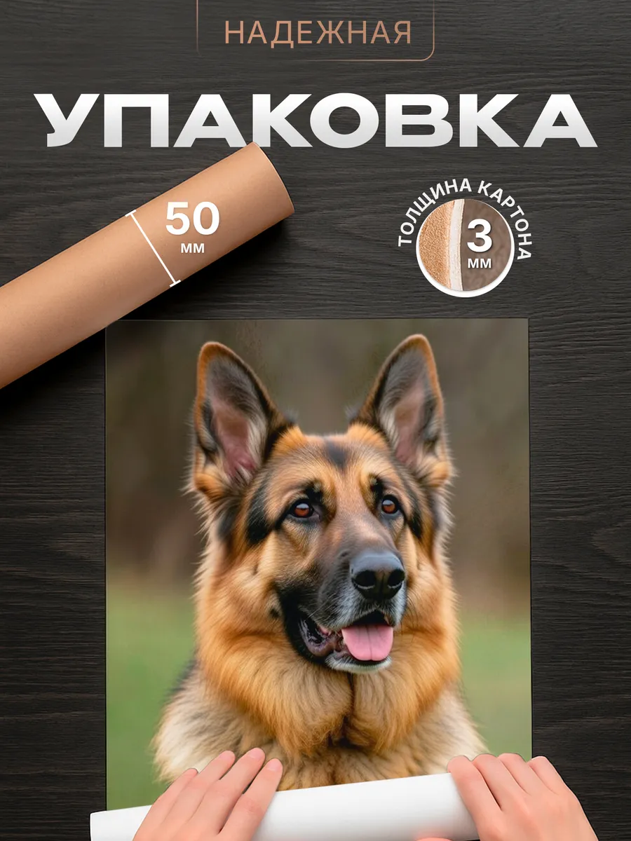 Изображение товара 4 из 4