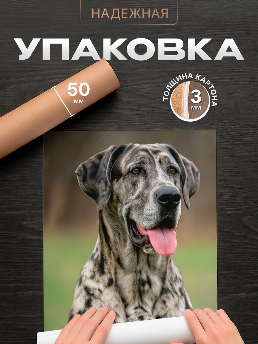 Изображение товара 4 из 4