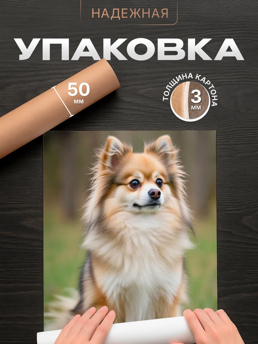 Изображение товара 4 из 4