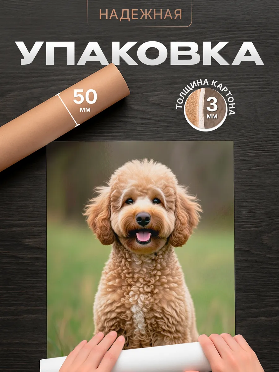 Изображение товара 4 из 4