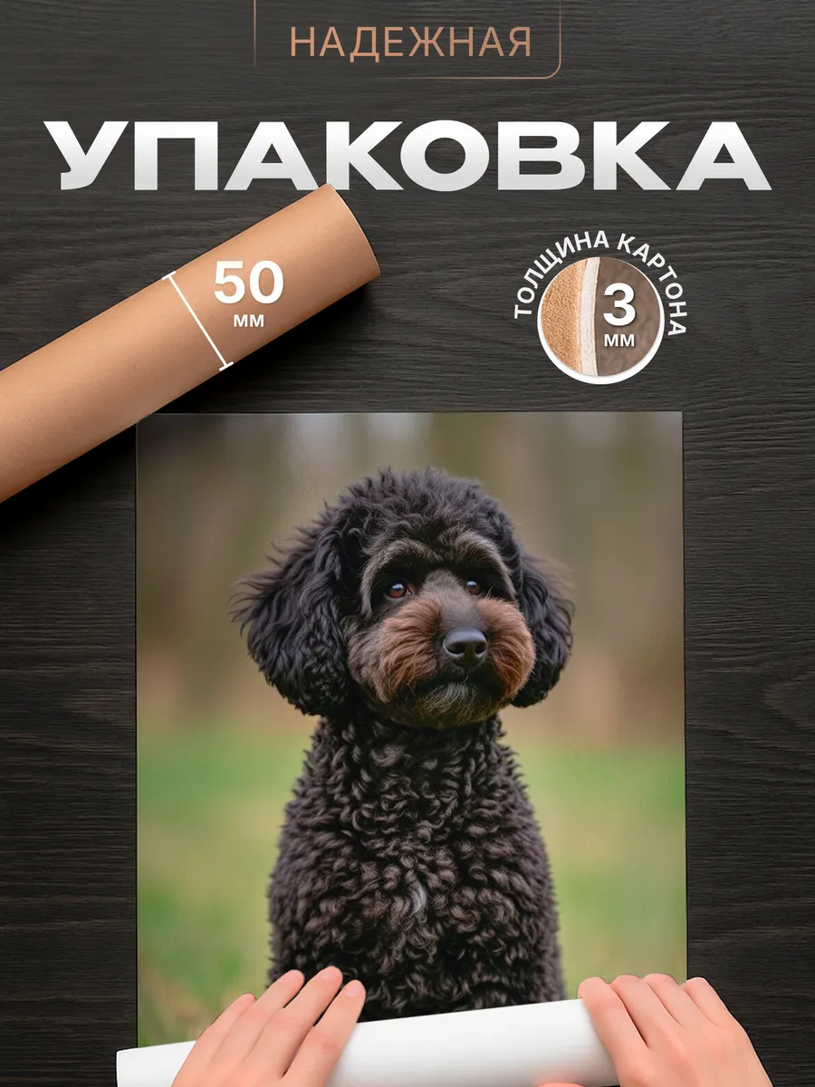 Изображение товара 4 из 4