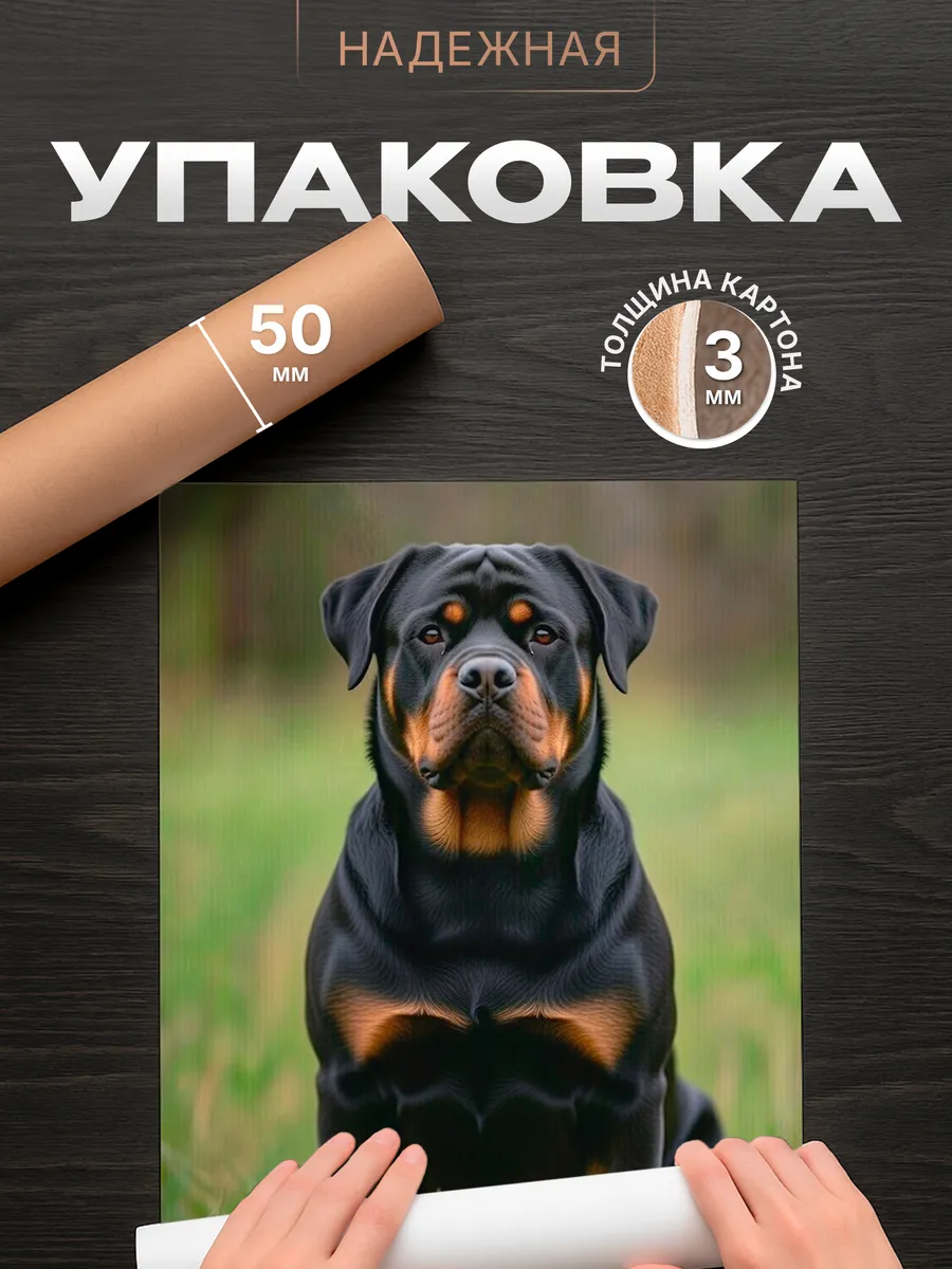 Изображение товара 4 из 4