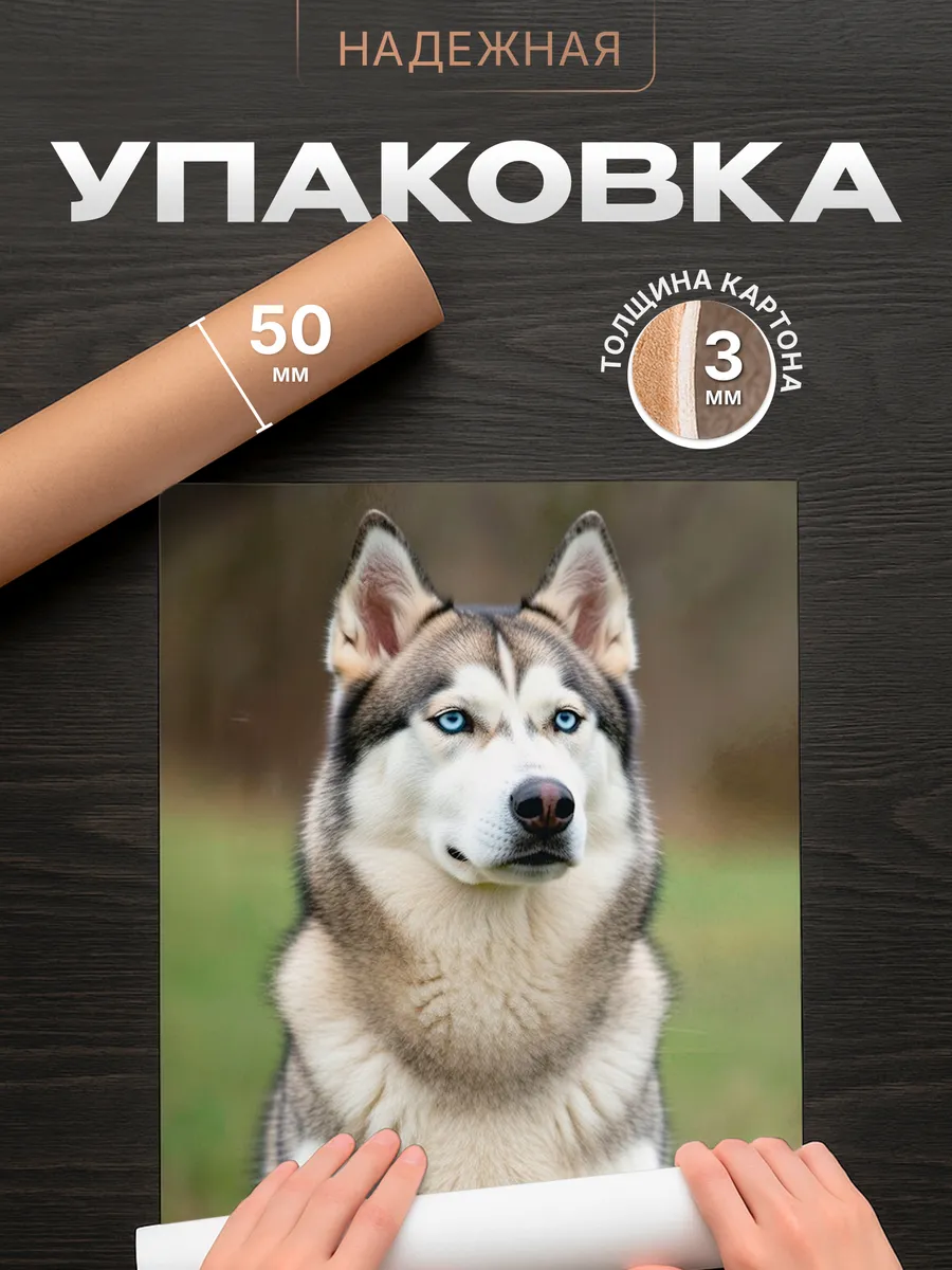 Изображение товара 4 из 4