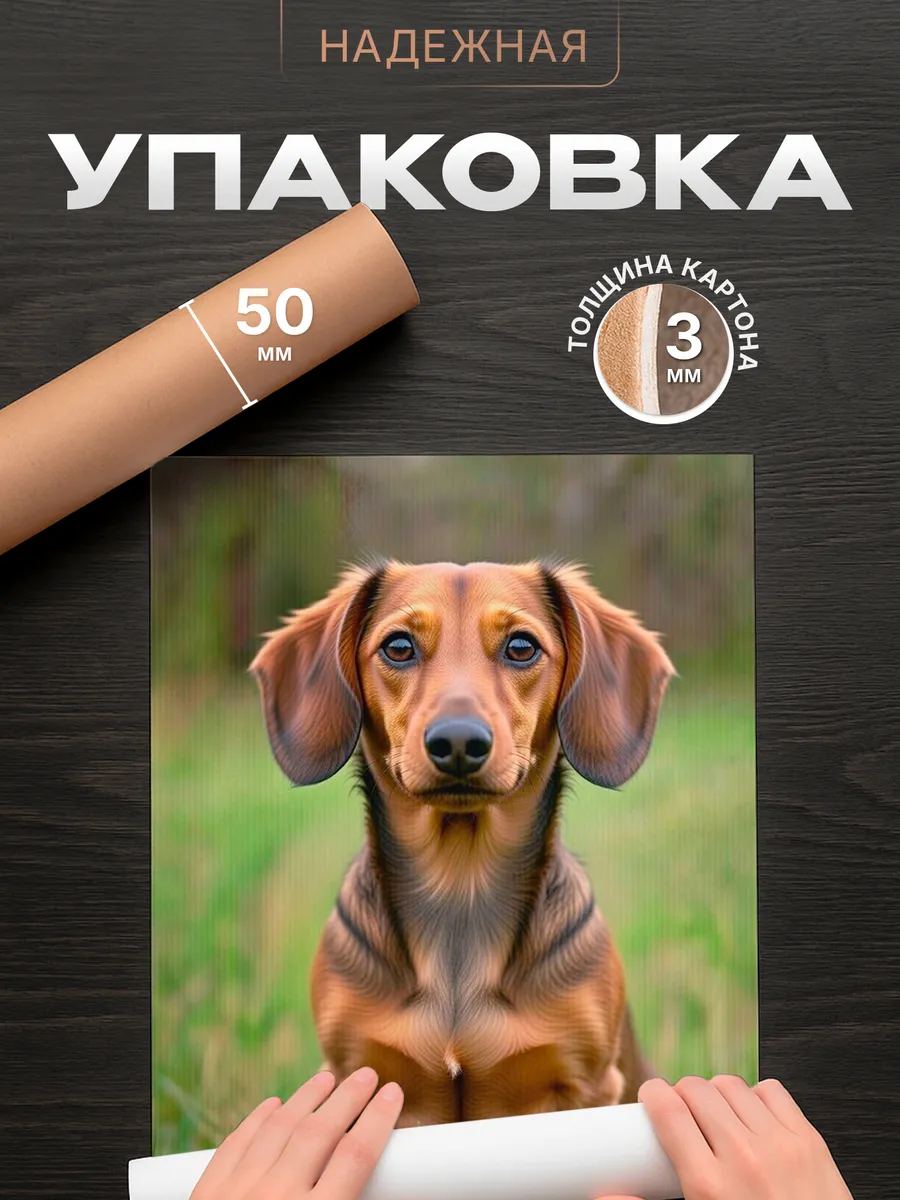 Изображение товара 4 из 4
