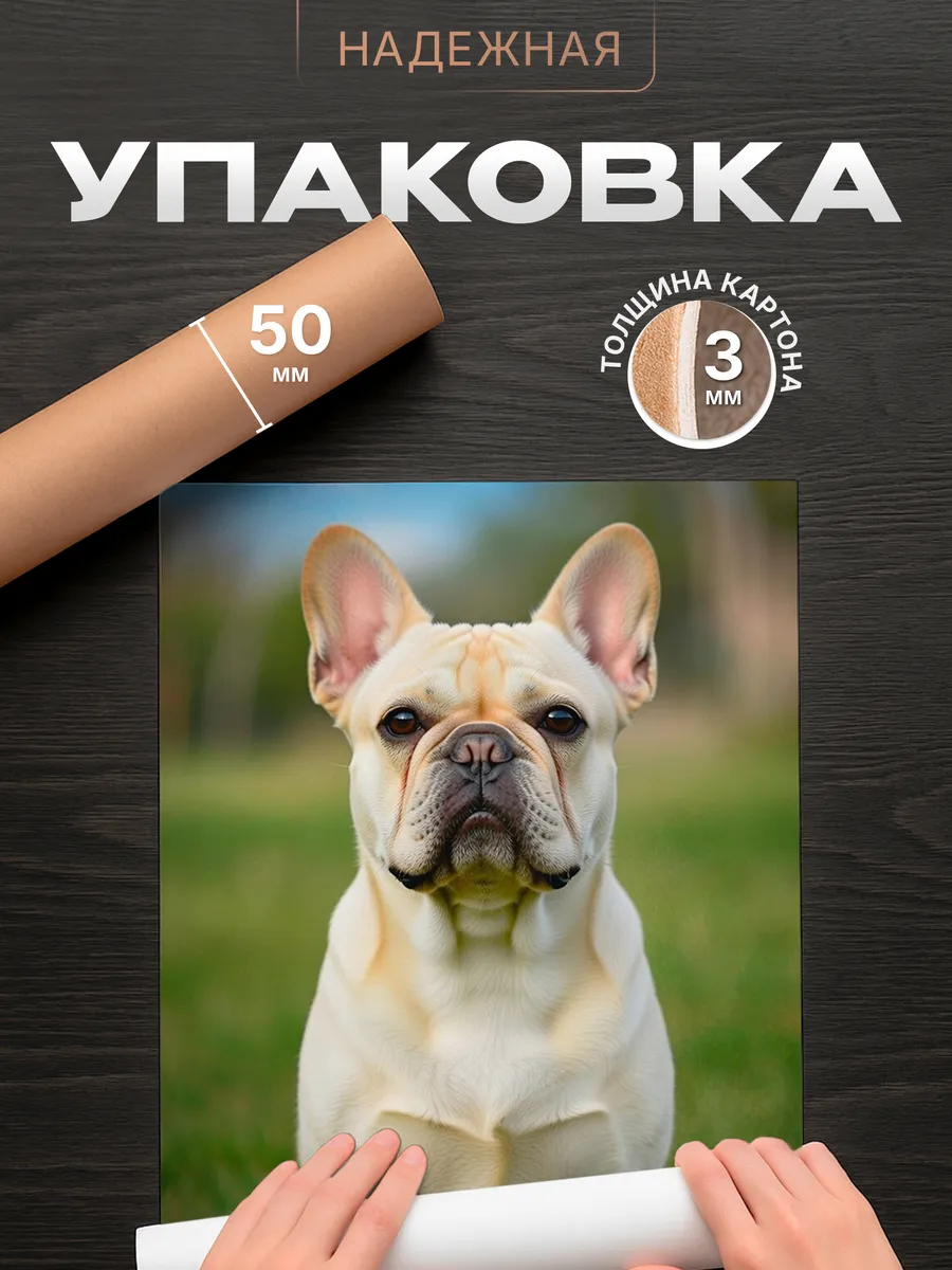 Изображение товара 4 из 4
