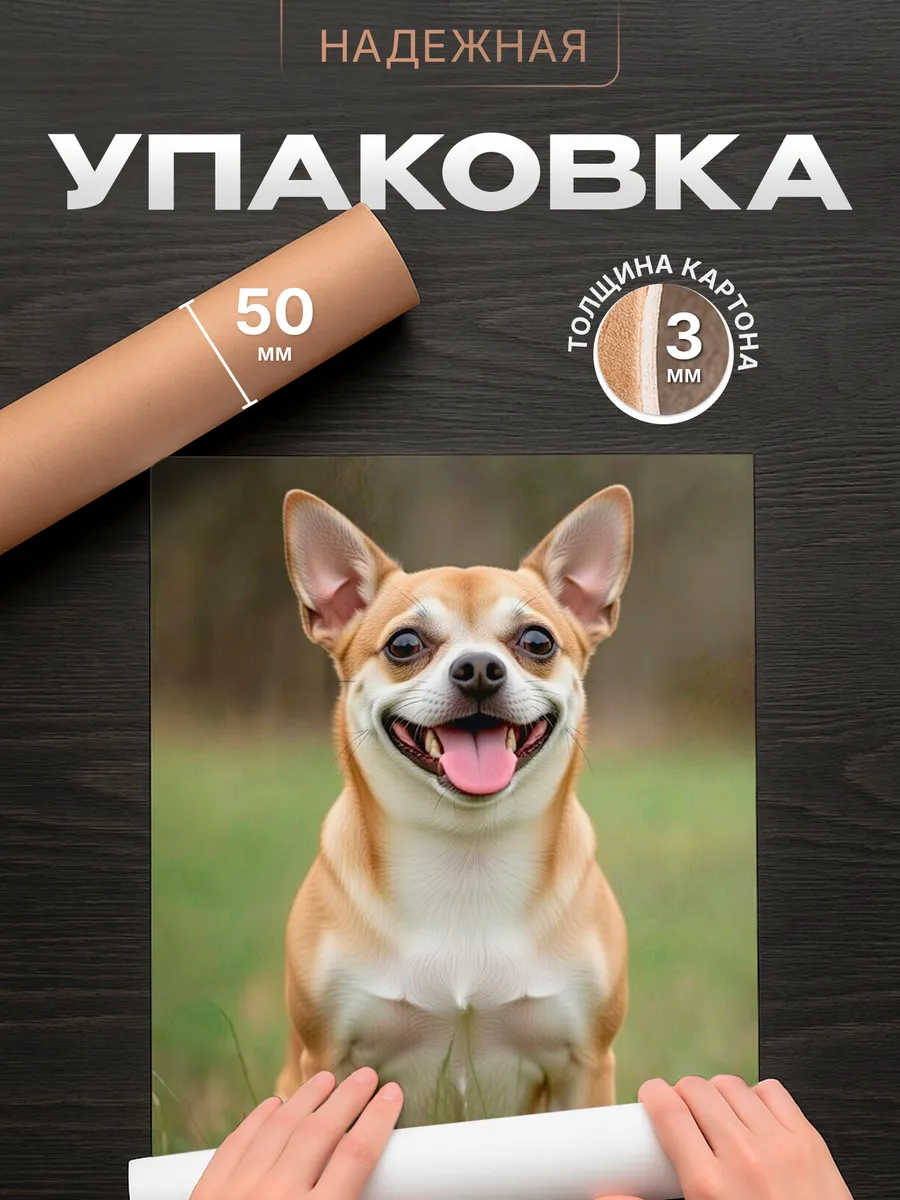 Изображение товара 4 из 4