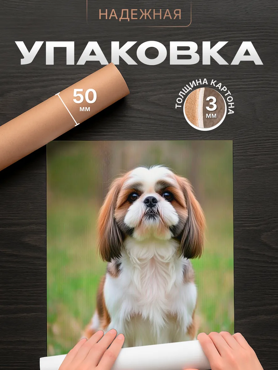 Изображение товара 4 из 4