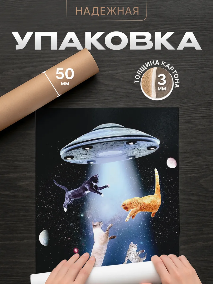 Изображение товара 4 из 4