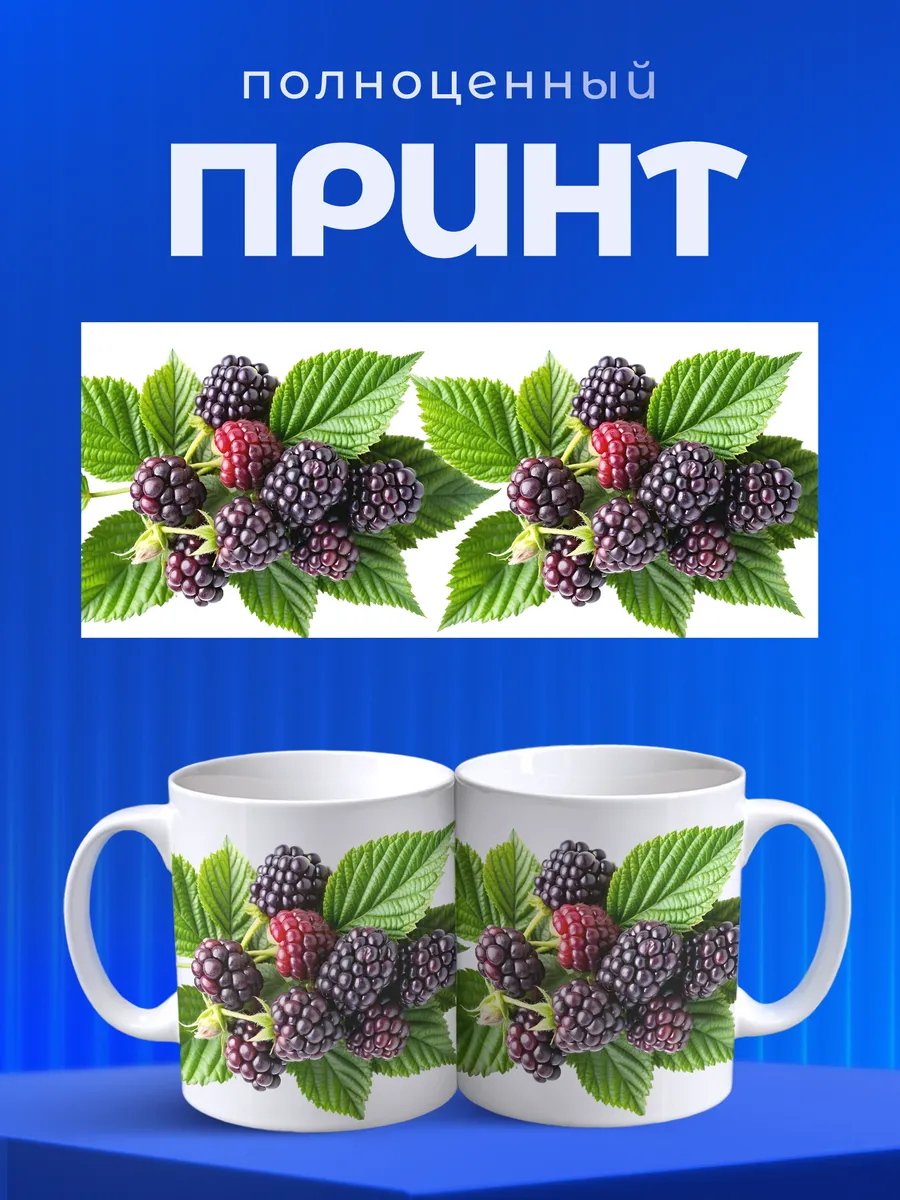 Изображение товара 4 из 6