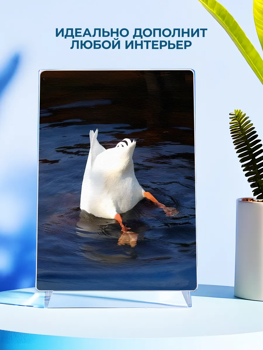 Изображение товара 4 из 4