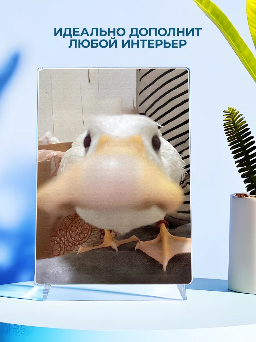 Изображение товара 4 из 4