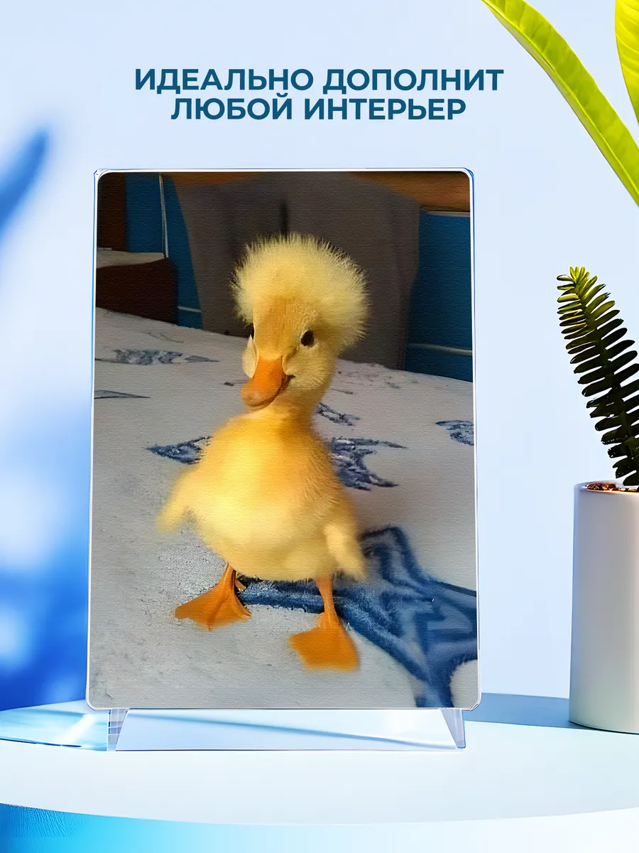 Изображение товара 4 из 4