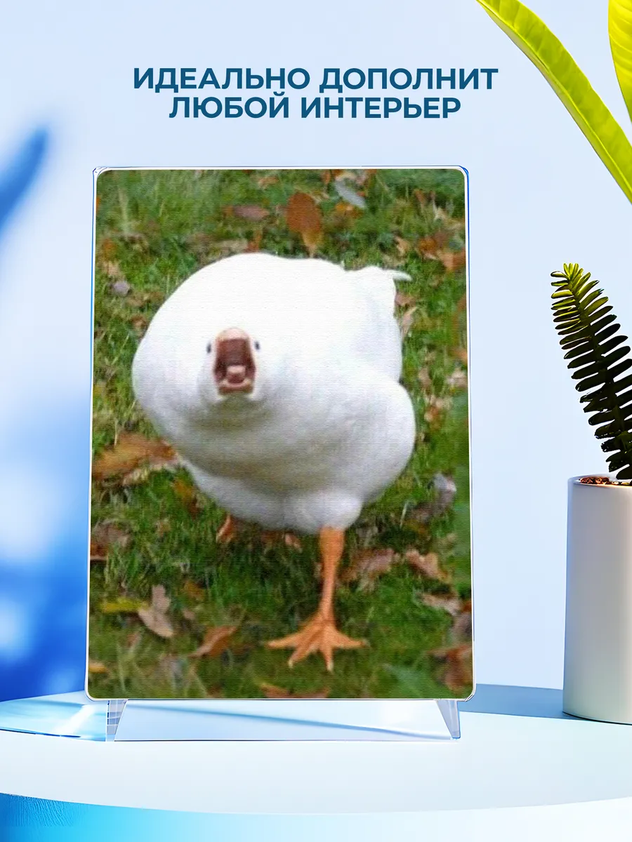 Изображение товара 4 из 4