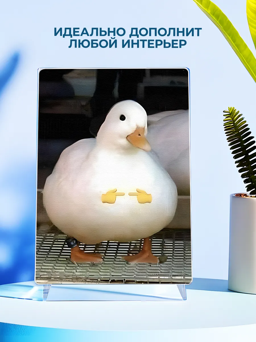 Изображение товара 4 из 4