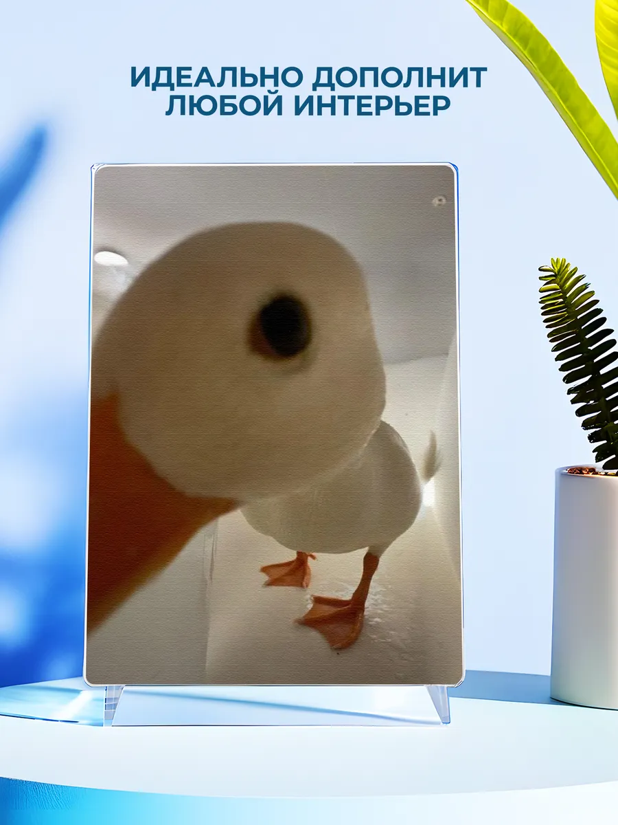 Изображение товара 4 из 4