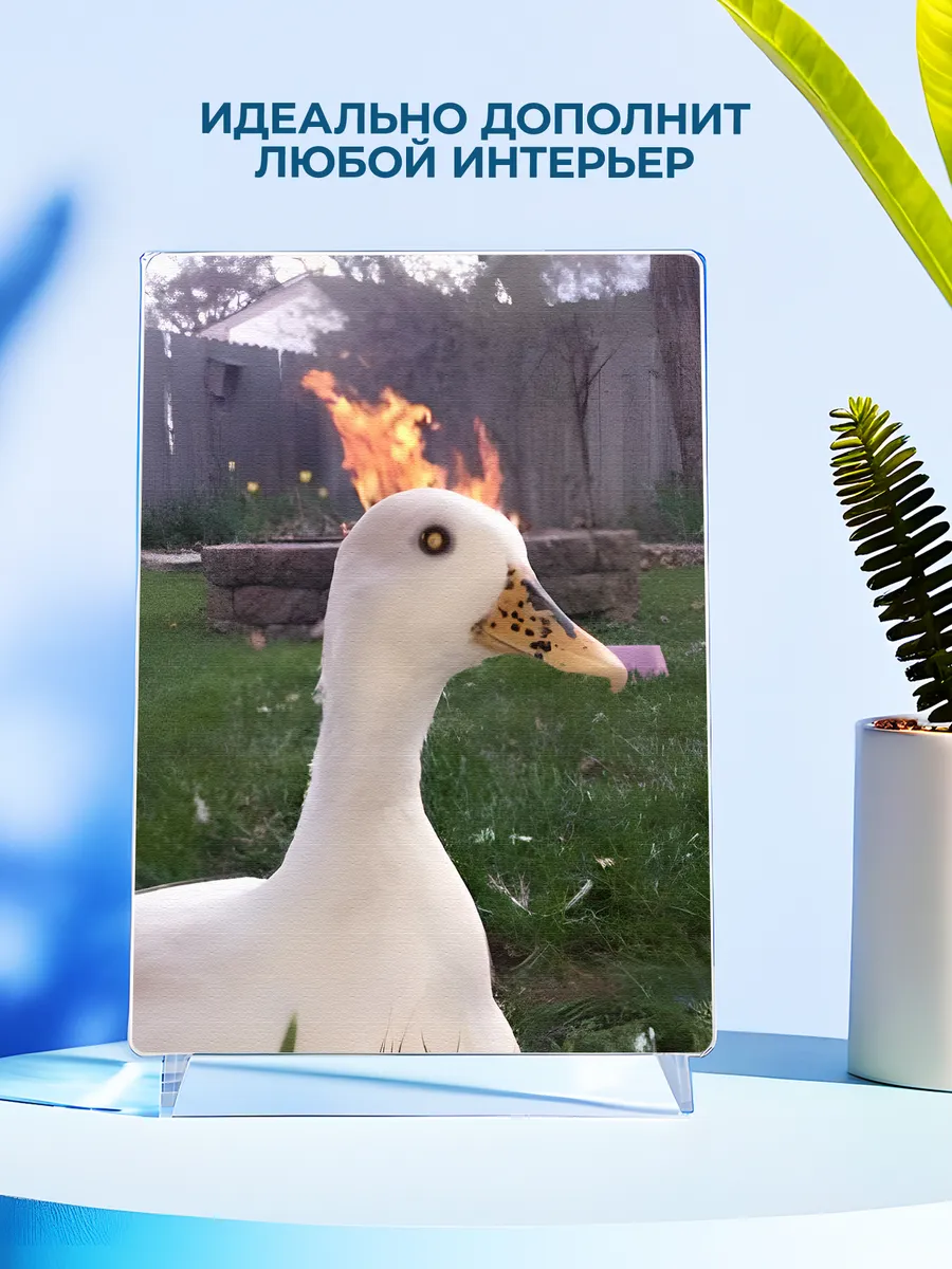 Изображение товара 4 из 4