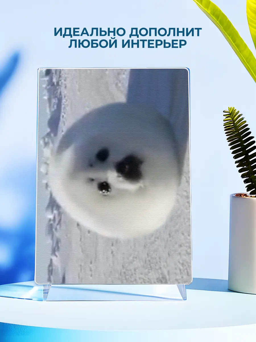 Изображение товара 4 из 4