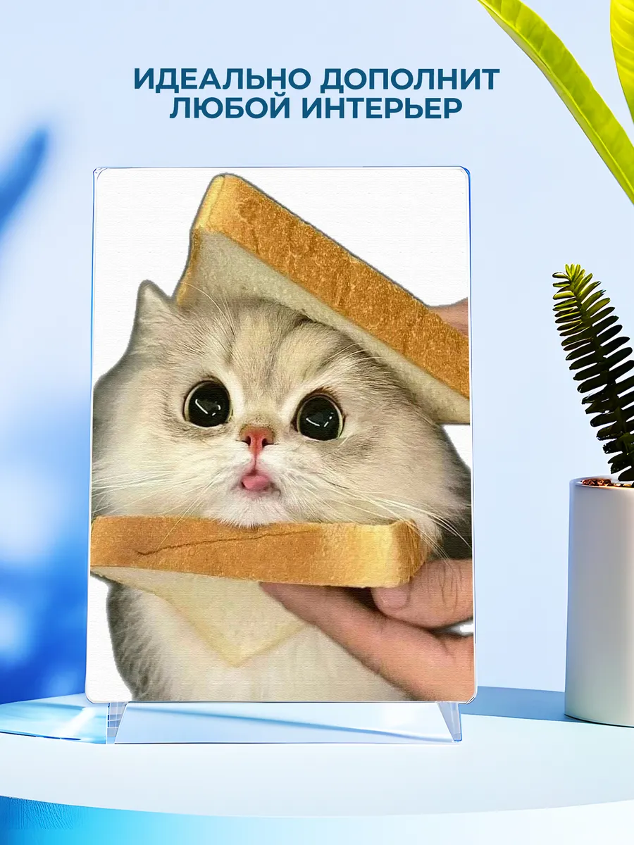 Изображение товара 4 из 4