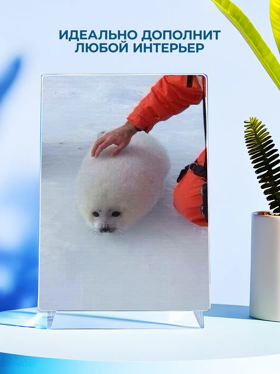 Изображение товара 4 из 4