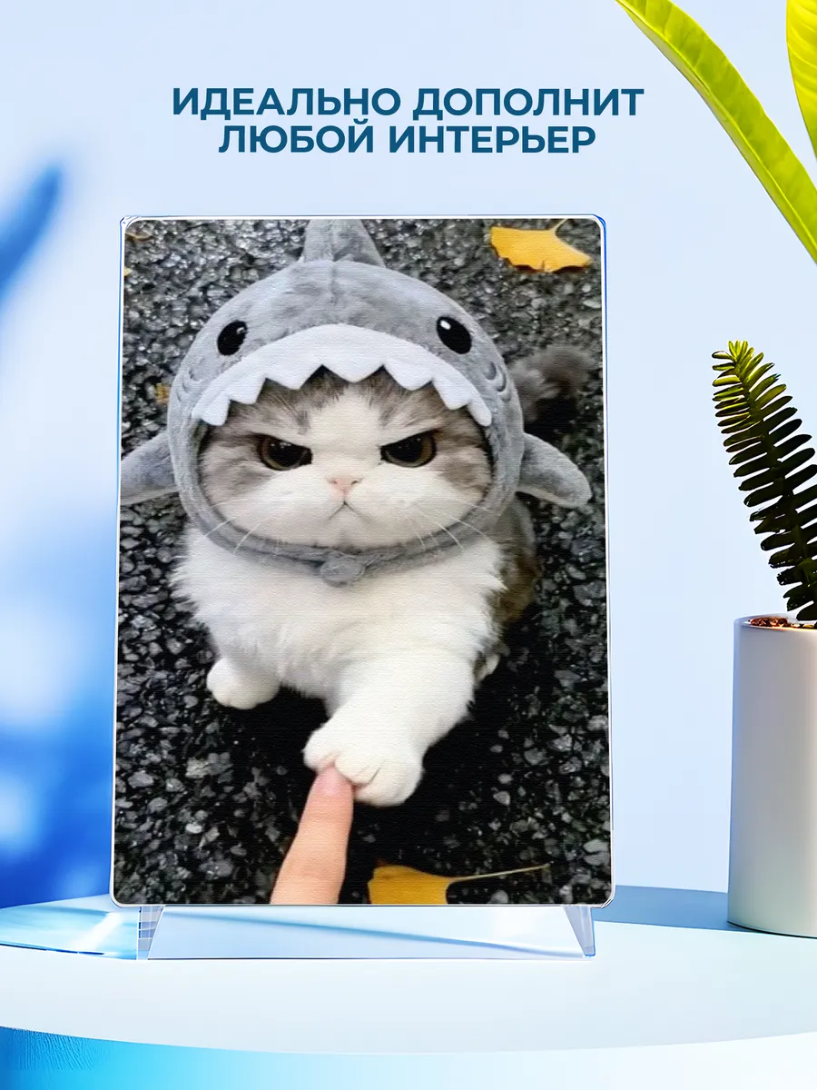 Изображение товара 4 из 4